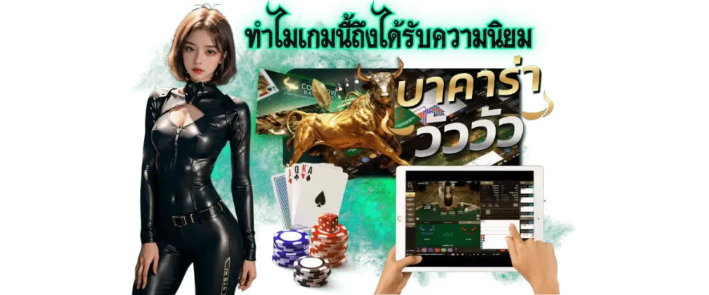 ไพ่บาคาร่าวัววัว